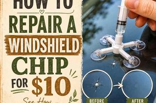 How To Repair A Windshield Chip For $10