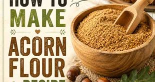 How to Make Acorn Flour + Recipe