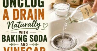 How to Unclog a Drain Naturally with Baking Soda and Vinegar