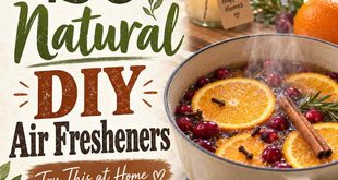 20 Natural DIY Air Fresheners