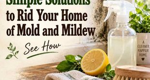Natural and Simple Solutions to Rid Your Home of Mold and Mildew