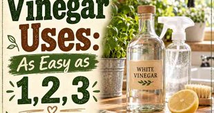 White Vinegar Uses:  As Easy as 1, 2, 3