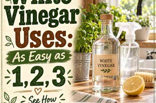 White Vinegar Uses:  As Easy as 1, 2, 3