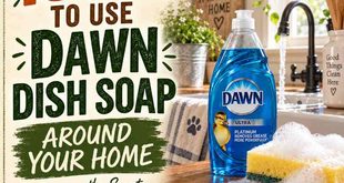 13 Impressive Uses for Dawn in Your House