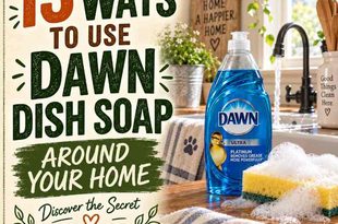13 Impressive Uses for Dawn in Your House