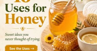 16 Uses for Honey You Never Thought Of Trying