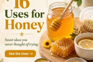 16 Uses for Honey You Never Thought Of Trying