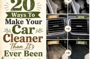 20 Ways To Make Your Car Cleaner Than It’s Ever Been