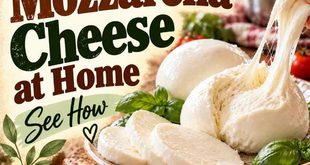 How to Make Mozzarella Cheese at Home