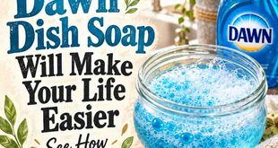 28 Ways Dawn Dish Soap Will Make Your Life Easier