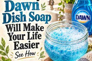 28 Ways Dawn Dish Soap Will Make Your Life Easier