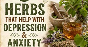 8 Herbs That Help with Depression & Anxiety