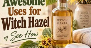 16 Awesome Uses for Witch Hazel