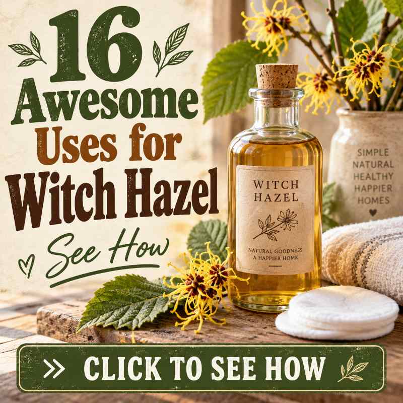 16 Awesome Uses for Witch Hazel