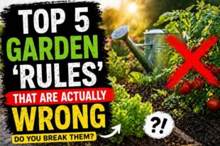 Top 5 Garden ‘Rules’ That Are Actually WRONG