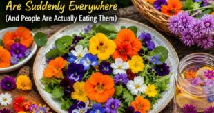 Edible Flowers Are Suddenly Everywhere