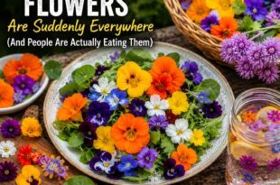 Edible Flowers Are Suddenly Everywhere