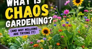 What Is Chaos Gardening