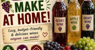 3 Wines You Can Make