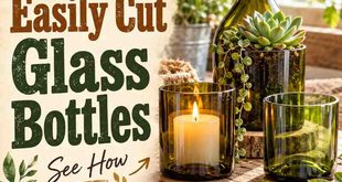 How to Easily Cut Glass Bottles